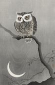 Plakat 56,6x86,4cm Long-Eared Owl, Koson Japoński Vintage do Salonu