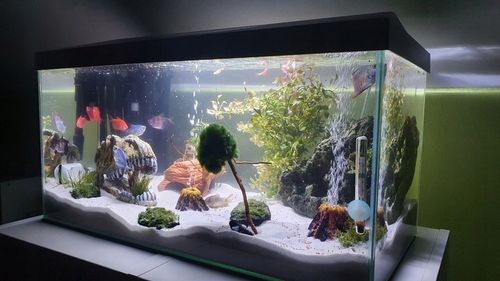 24 KG BIAŁY PIASEK KWARCOWY ŻWIR AKWARIUM 0,1-0,5 na Arena.pl