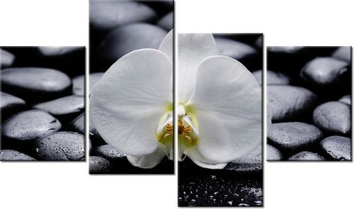 140CM 70 OBRAZ BIAŁY STORCZYK ŚCIENNY na Arena.pl