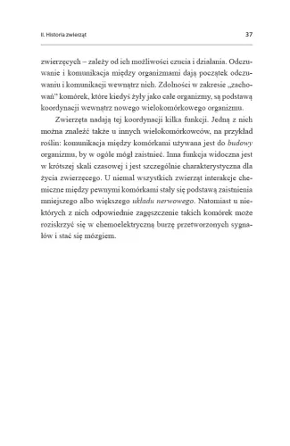 Inne umysły. Ośmiornice i prapoczątki świadomości na Arena.pl
