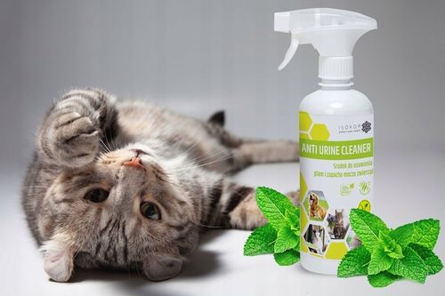 POCHŁANIACZ ZAPACHÓW MOCZU KOTA 500ml ISOKOR ANTI URINE CLEANER NATURALNY na Arena.pl