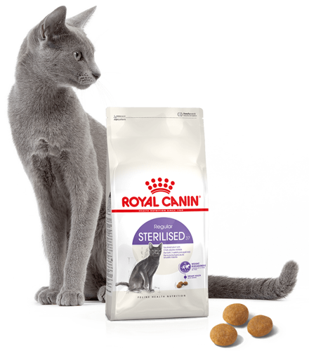 royal canin sterilised 37 4kg na Arena.pl