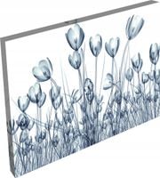 OBRAZ na płótnie nowoczesne KWIATY do salon 120x80