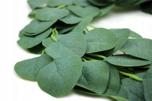 Girlanda Eukaliptus Bluszcz Sztuczne Zielone Listki Komunia Wesele 2 Metry na Arena.pl