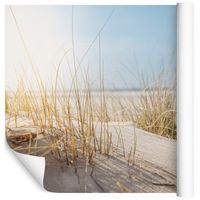Fototapeta Wydmy Piasek Natura do Salonu 3D 135x90