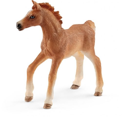 Schleich Źrebię z kocem na Arena.pl