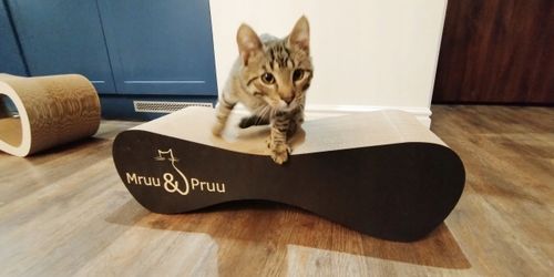 Drapak dla kota MIMI | czarny | 70x23x24 cm | MruuPruu na Arena.pl