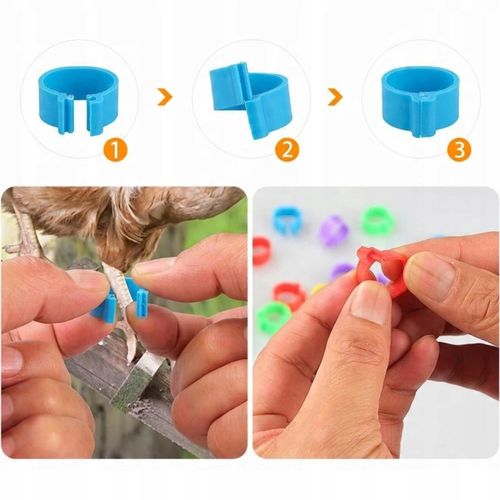 ZNACZNIKI OBRĄCZKI KLIPSY DLA KUR KACZEK GĘSI PTAKÓW 16MM 0.5-2.5kg na Arena.pl