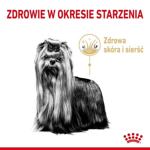 Karma z prebiotykiem dla starszego psa Yorkshire Terrier Royal Canin 1,5kg na Arena.pl