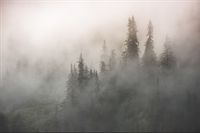 Fototapeta Góry Las we Mgle Natura do Salonu 3D 405x270