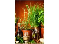 product-compare-58703510