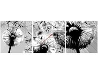 30 90CM OBRAZ 3 ELEM BIAŁE DMUCHAWCE SZARYM TLE ŚCIENNY PŁOTNO DRUK