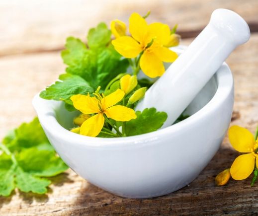 GLISTNIK JASKÓŁCZE ZIELE EKSTRAKT 100% 30 ML zdjęcie 3