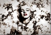 product-compare-58711587