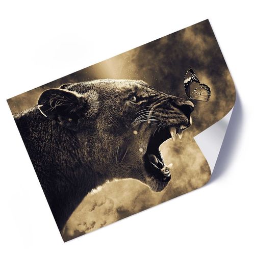 Plakat, Pantera z motylem 60x40 na Arena.pl