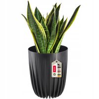 DONICZKA OSŁONKA EKO + WKŁADKA CZARNA 30x36CM