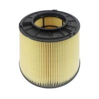 FILTRON FILTR POWIETRZA AUDI A4 B9 A5 F5 Q5 FY AK376/1 AK 376/1