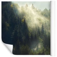 Fototapeta Las we Mgle NATURA Drzewa do Sypialni 450x300