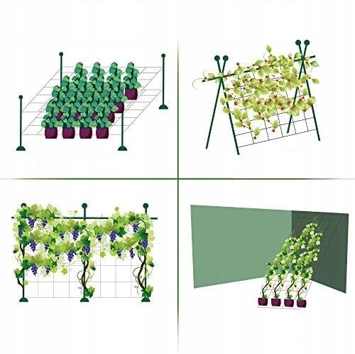 Siatka Podpora warzyw roślin pnących 2x10m 15x17cm AS-CN08151720010 na Arena.pl