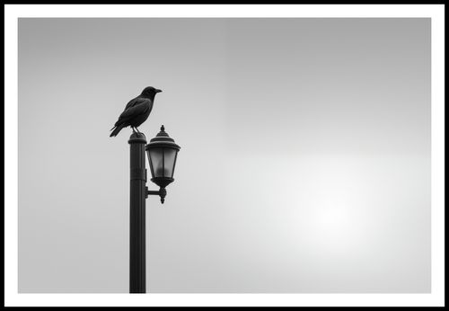 Plakat 91,5x61cm Samotny Postój Kruka na Arena.pl