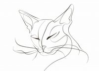 Plakat 18x13cm Linijny Kot