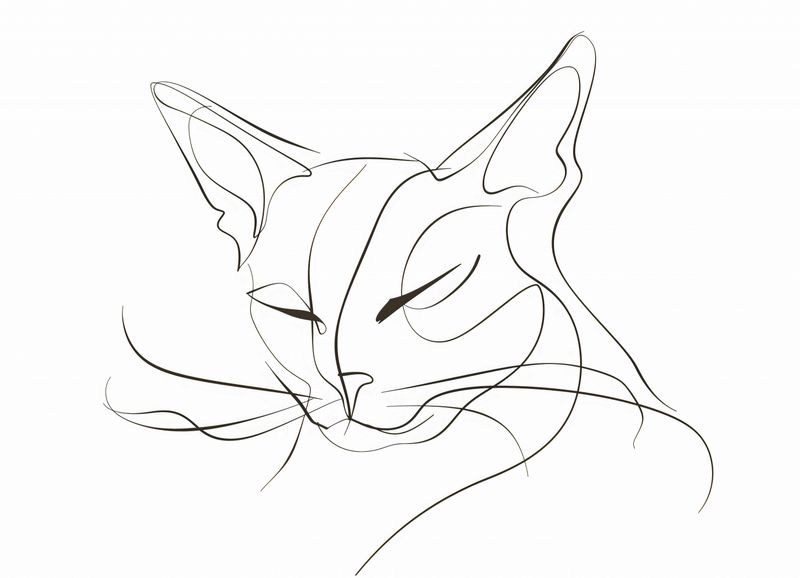 Plakat 18x13cm Linijny Kot zdjęcie 1