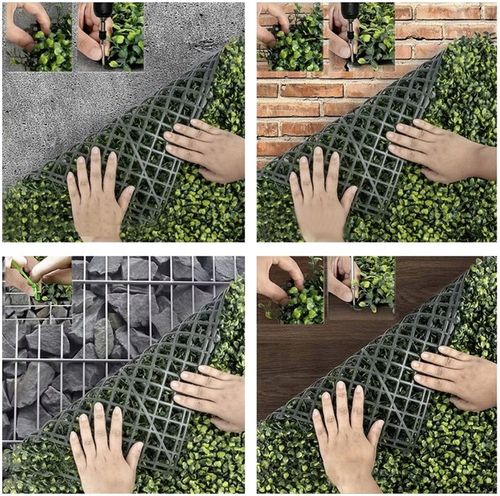 Panel ścienny - zielony bukszpan na Arena.pl