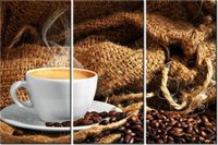 product-compare-58676479