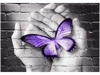 100 70CM OBRAZ PŁÓTNO MOTYL DŁONIACH PŁÓTNO RAMA