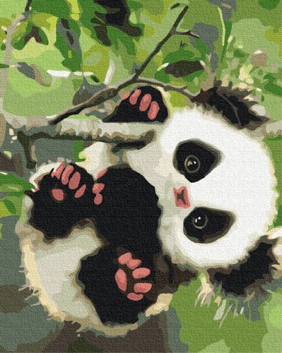 Obraz Paint It! Malowanie Po Numerach. Słodka Panda na Arena.pl