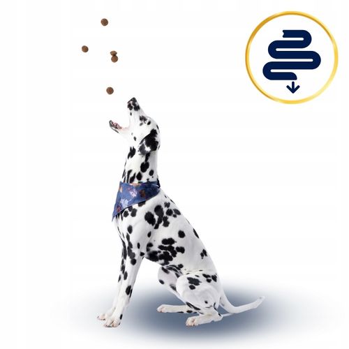 SUCHA KARMA DLA PSA POLARIS ADULT BEZ ZBÓŻ WOŁOWINA INDYK 12KG ŚWIEŻE MIĘSO na Arena.pl