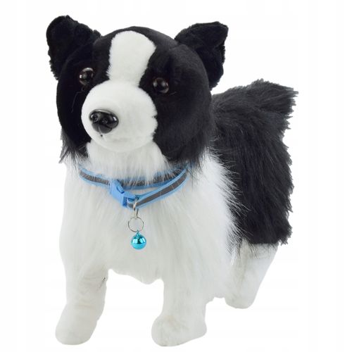 PIES INTERAKTYWNY NA SMYCZY CHODZI SZCZEKA BORDER na Arena.pl