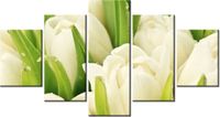 80CM 150CM OBRAZ 5 ELEM DELIKATNE TULIPANY ŚCIENNY