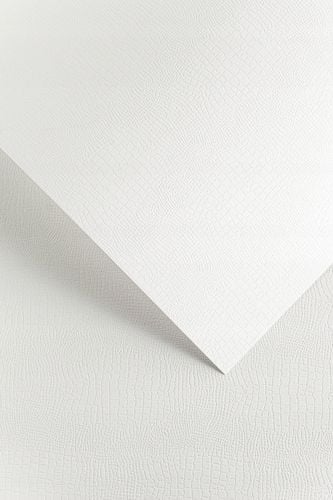 karton ozdobny borneo biały 220g/m2 (20) 4692 na Arena.pl