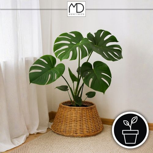 Osłona wiklinowa brąz na doniczkę stojak pod choinkę na święta wiklina kosz na Arena.pl