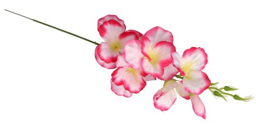 MIECZYK MIECZYKI 1SZT 57CM SZTUCZNE KWIATY ROŚLINY na Arena.pl