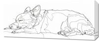 Obraz 70x30cm Śpiący Psiak