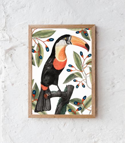 Plakat tukan w liściach 21x29,7 cm A4 na Arena.pl