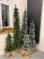 Choinki Marzeń CHOINKA SLIM ŚWIERK TATRZAŃSKI *PREMIUM* 100cm + GRATIS