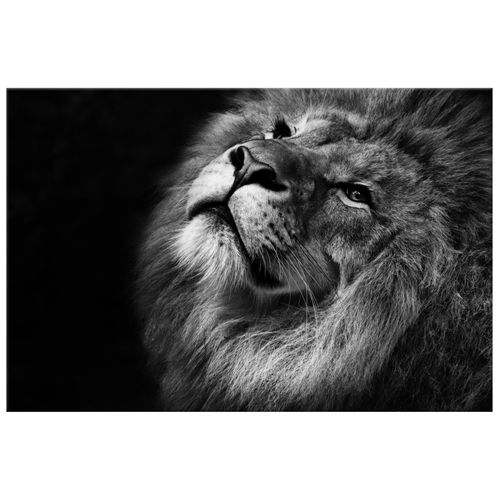 90X60 Obraz *** Na Płótnie *** na Arena.pl