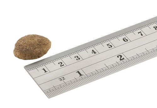 Fish4Dogs Superior Weight Control 12kg na Arena.pl
