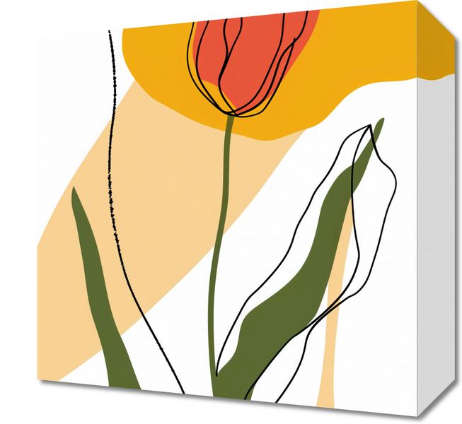 Obraz 30x30cm Przerysowany Tulipan zdjęcie 1