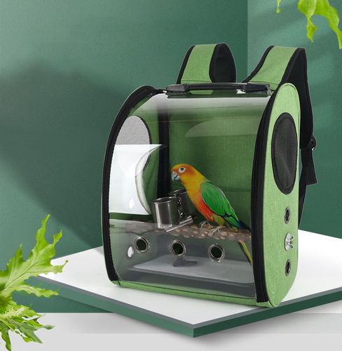 TRANSPORTER DLA PAPUG PTAKÓW NIMF ŻAKO GRZĘDA 2kol na Arena.pl