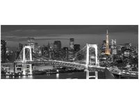 OBRAZ RAINBOW BRIDGE WANGAN