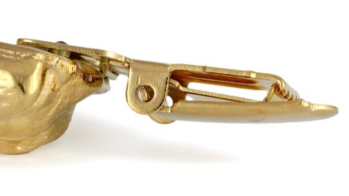 Boston Terier - klips - 1017 na Arena.pl