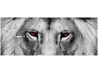 100X40CM ZEGAR LWIE SPOJRZENIE OBRAZ