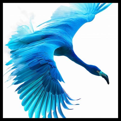 Plakat 40x40cm Błękitny Lot na Arena.pl