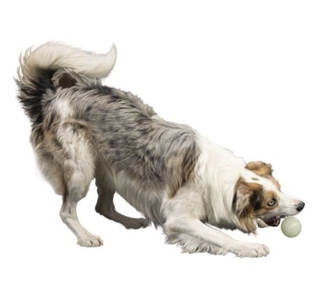 Kiwi Walker Let's Play Glow Ball Mini piłka na Arena.pl