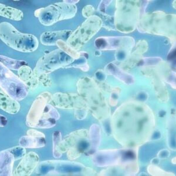SANPROBI Barrier probiotyk 40 kapsułek zdjęcie 5