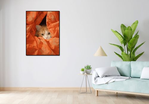 Plakat 75x100cm Ukryty Kot na Arena.pl